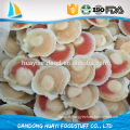 Scallop with roe and half shell/sea scallop /bay scallop